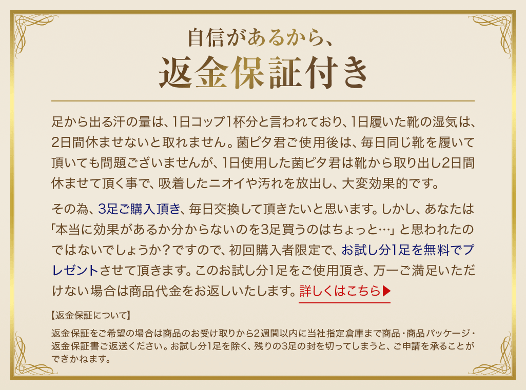 自信があるから、返金保証付き