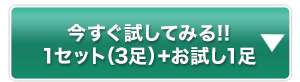 今すぐ試してみる!!