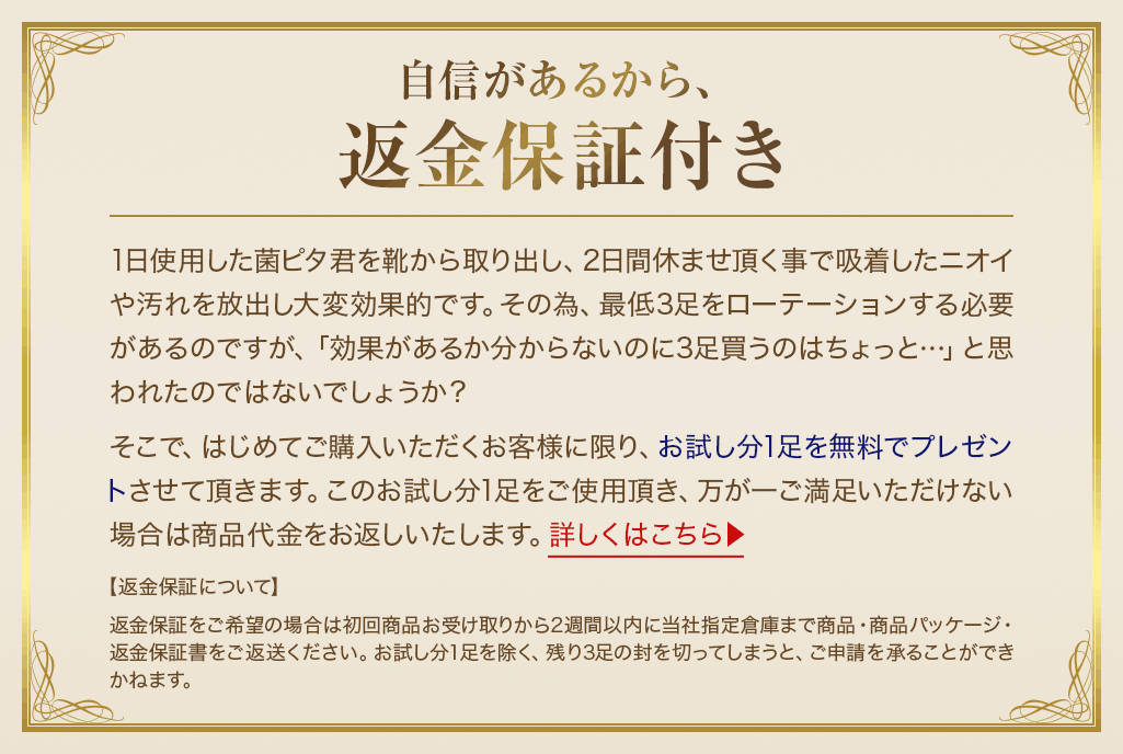 自信があるから、返金保証付き