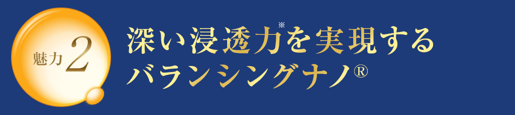 魅力2 深い浸透力※を実現するバランシングナノR