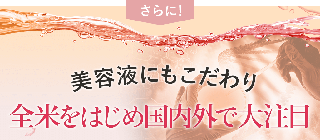 全米をはじめ国内外で大注目