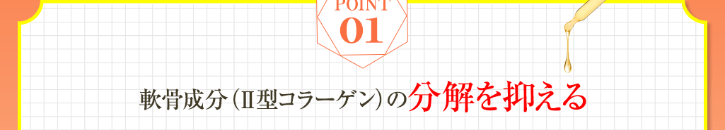 01 軟骨成分の分解を抑えひざ軟骨の保護に役立つ