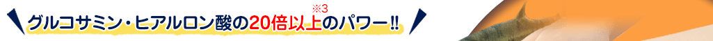 グルコサミン・ヒアルロン酸の20倍以上※3のパワー！！