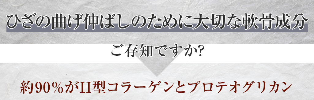 ひざの曲げ伸ばしのために大切な軟骨成分ご存知ですか？