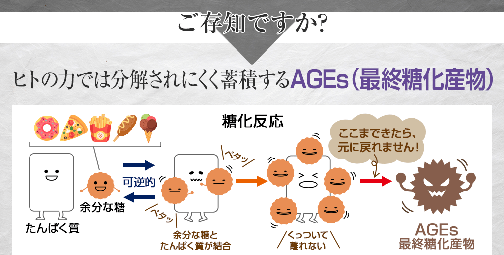 ご存知ですか 分解されにくいやっかいなAGEs 最終糖化産物