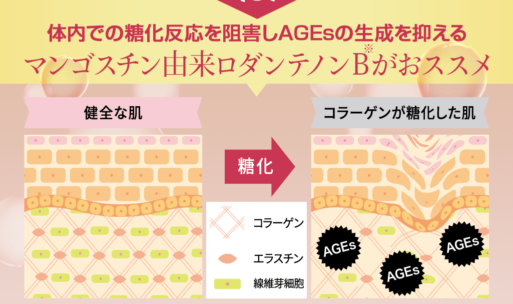 そんなあなたに 【機能性関与成分】マンゴスチン由来ロダンテノンBがおススメ