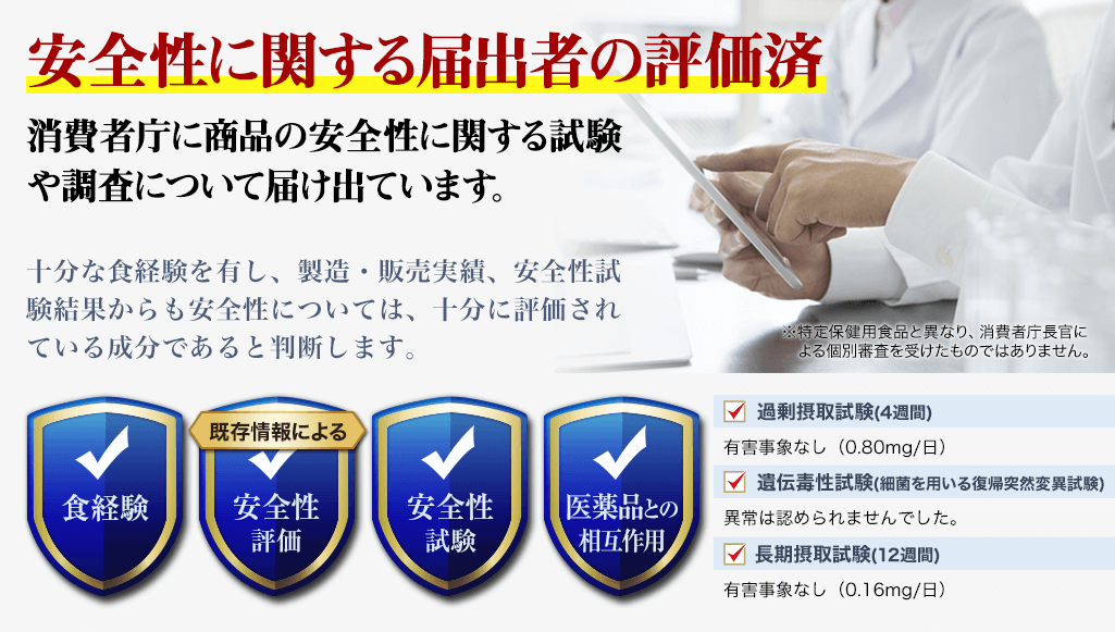 安全性に関する届出者の評価済