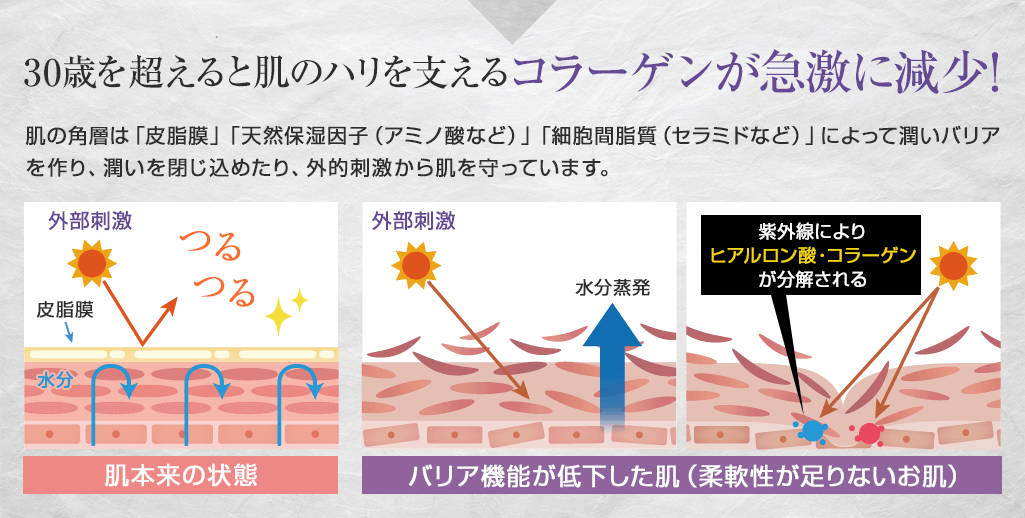 30歳を超えると肌のハリを支えるコラーゲンが急激に減少