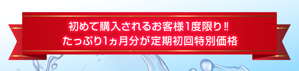 定期初回特別価格