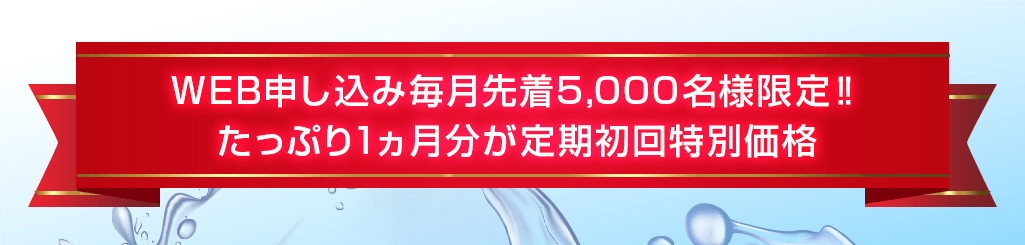 定期初回特別価格
