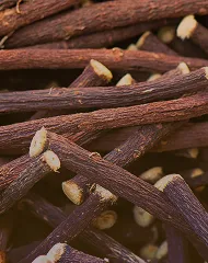 頭皮ケア成分*5