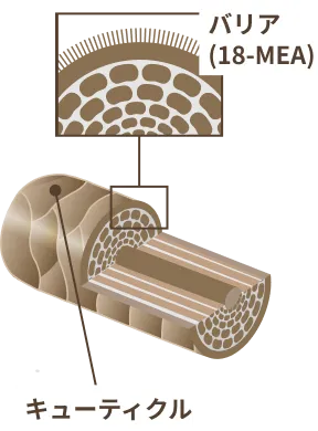 キューティクルが整った指通りの良い状態