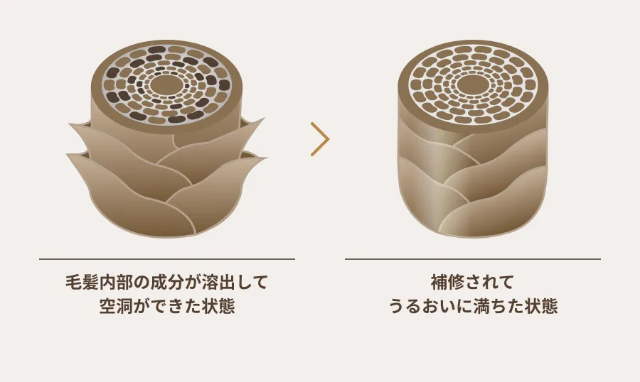 ダメージホールを補修し毛髪内部からケアするイメージ画像
