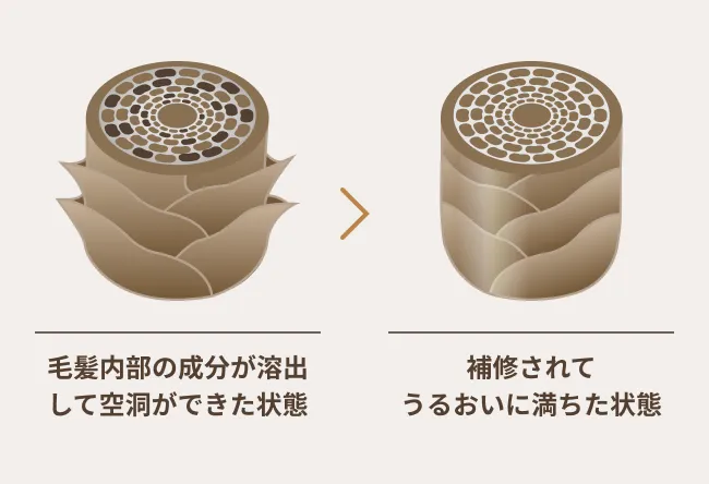 ダメージホールを補修し毛髪内部からケアするイメージ画像
