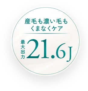 産毛も濃い毛も くまなくケア最大出力 21.6J