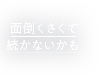 面倒くさくて 続かないかも