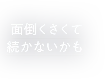 面倒くさくて 続かないかも