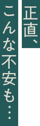 正直、 こんな不安も…