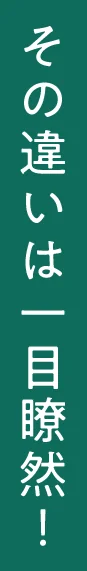 その違いは一目瞭然！