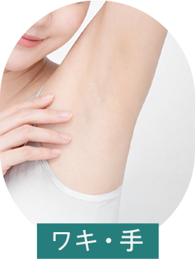 ワキ・手