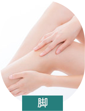 脚