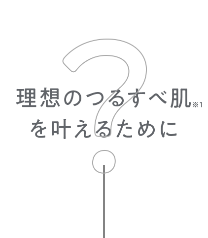 理想のつるすべ肌を叶えるために
