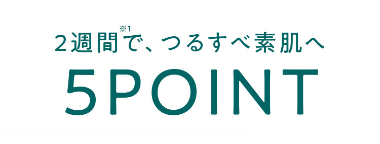 5つのPOINT