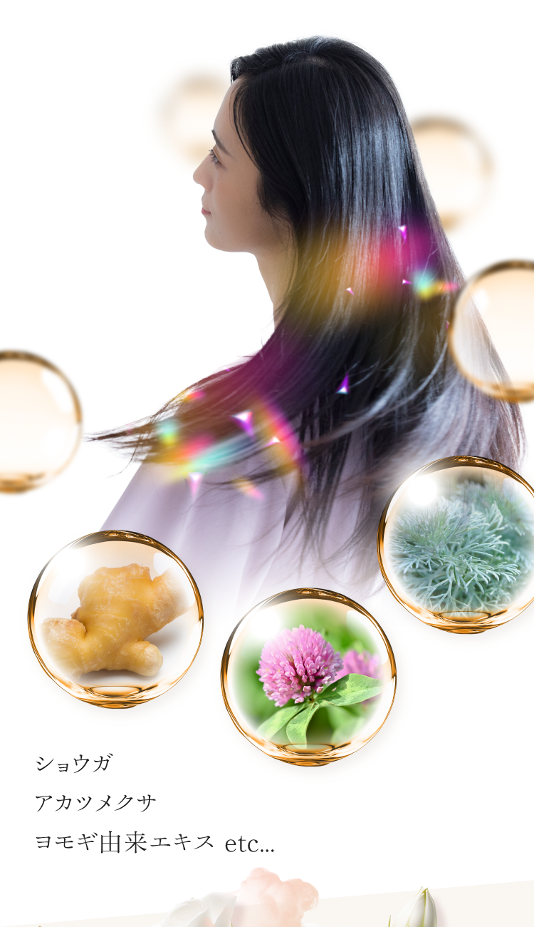 ツヤめく髪をはぐくむ