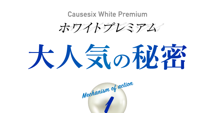 大人気の秘密
