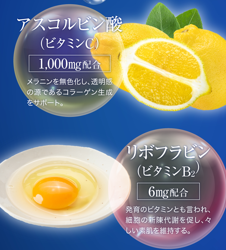 アスコルビン酸、リボフラビン