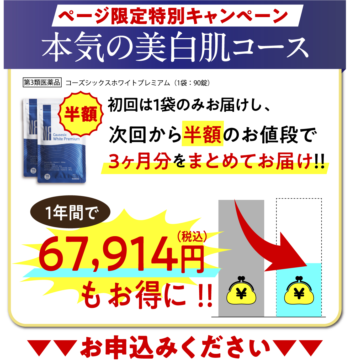 3ヶ月6袋おまとめ定期