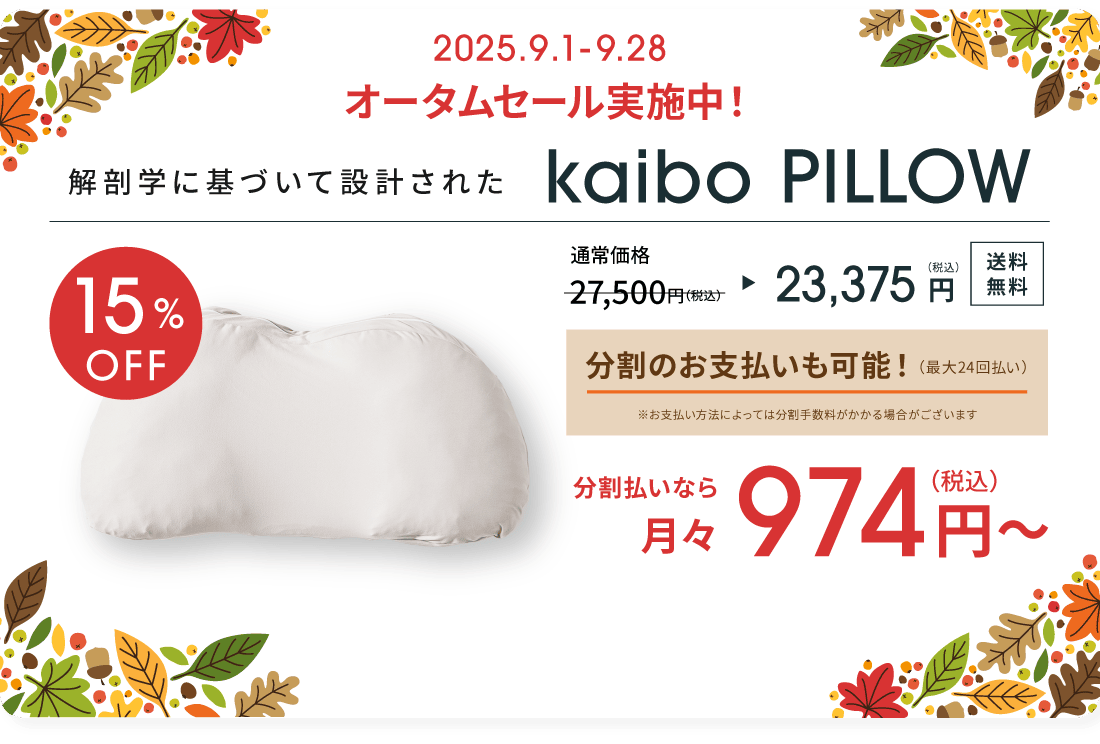 kaibo PILLOW 27,500円(税込) 送料無料 60日間の返品返金保証