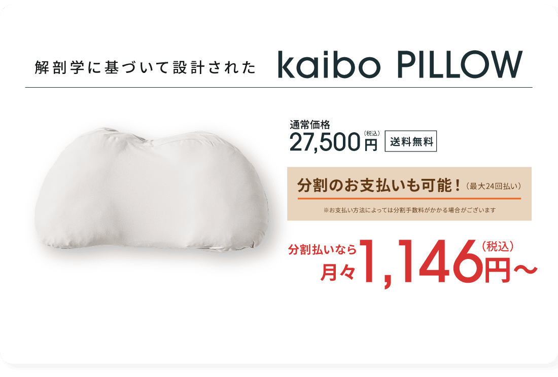 kaibo PILLOW 27,500円(税込) 送料無料 60日間の返品返金保証