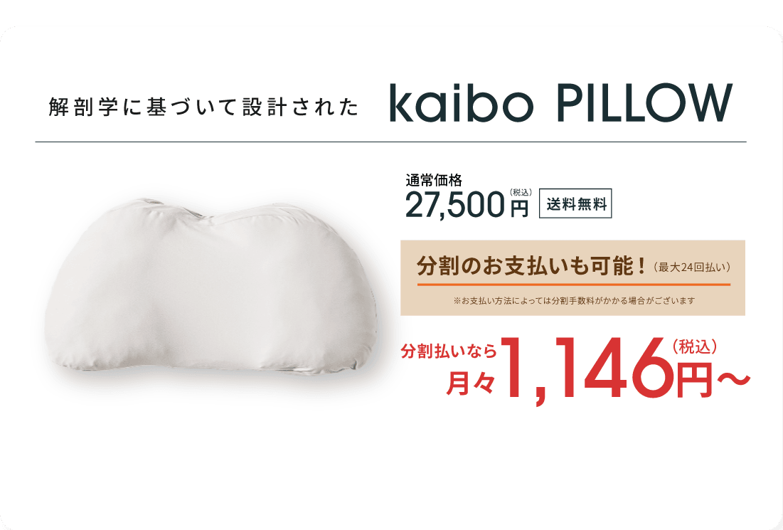 kaibo PILLOW 27,500円(税込) 送料無料 60日間の返品返金保証