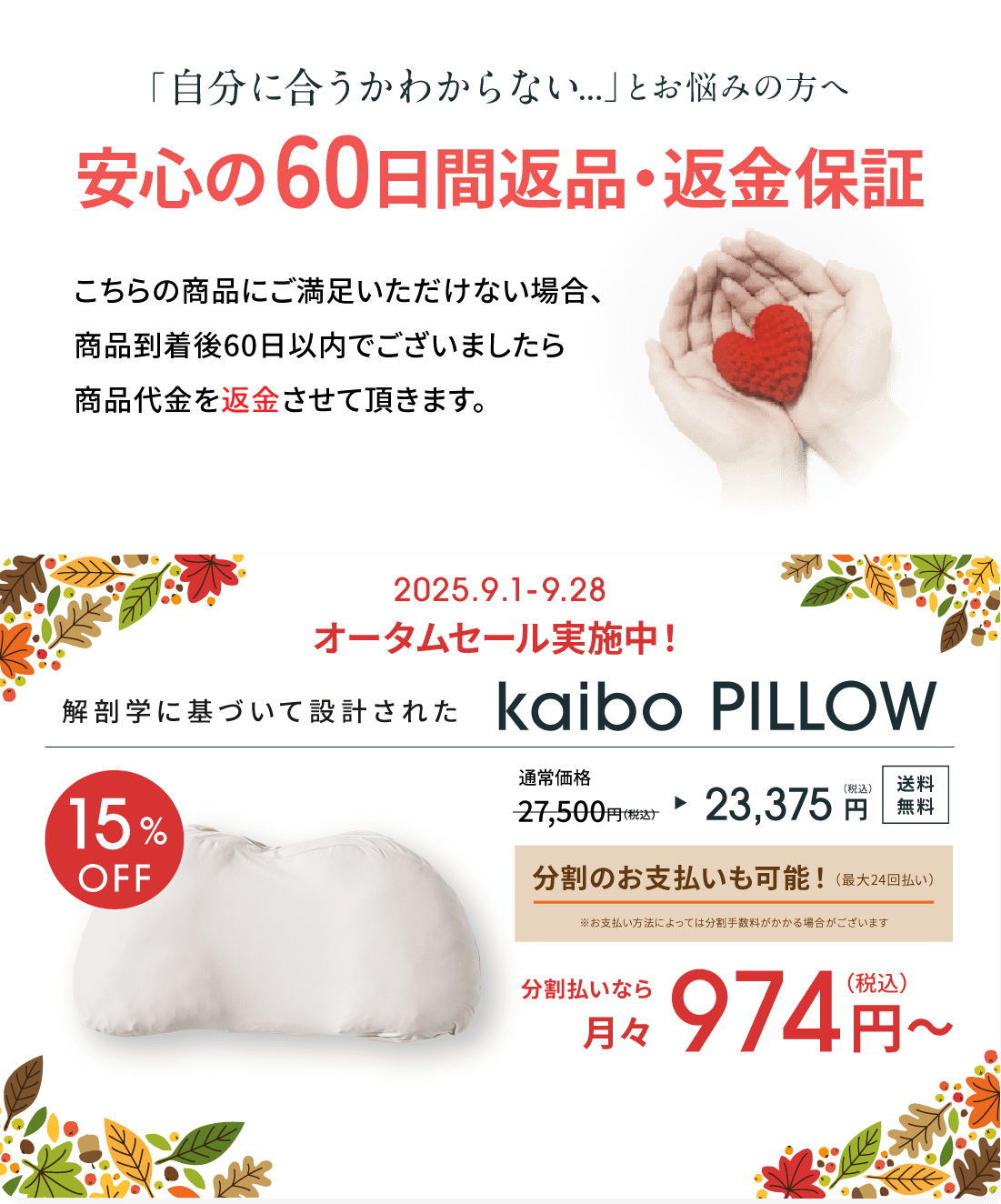 kaibo PILLOW 27,500円(税込) 送料無料 60日間の返品返金保証