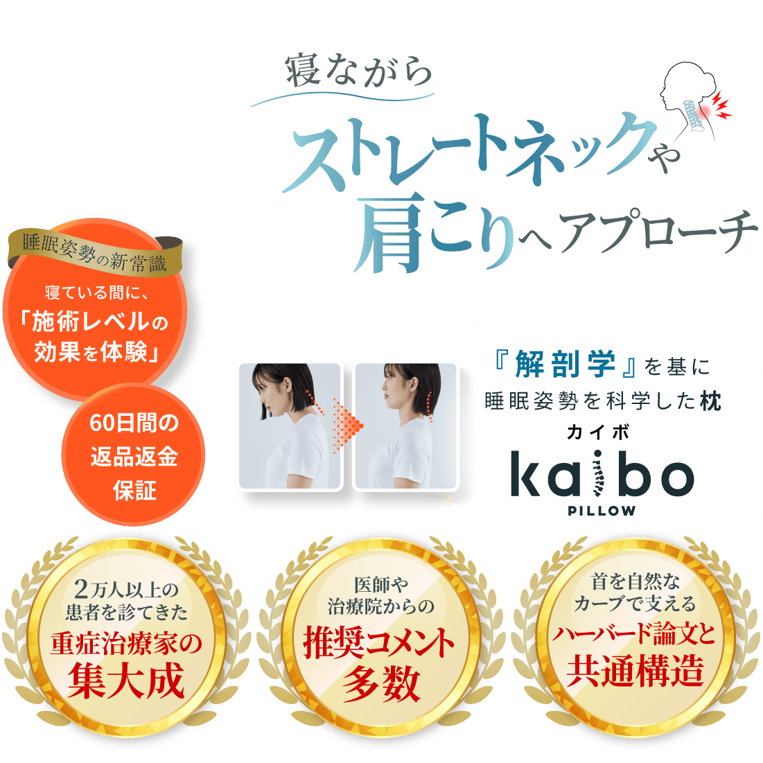 つらい首のだるさや肩こりに 解剖学に基づいた整体枕 kaiboPILLO