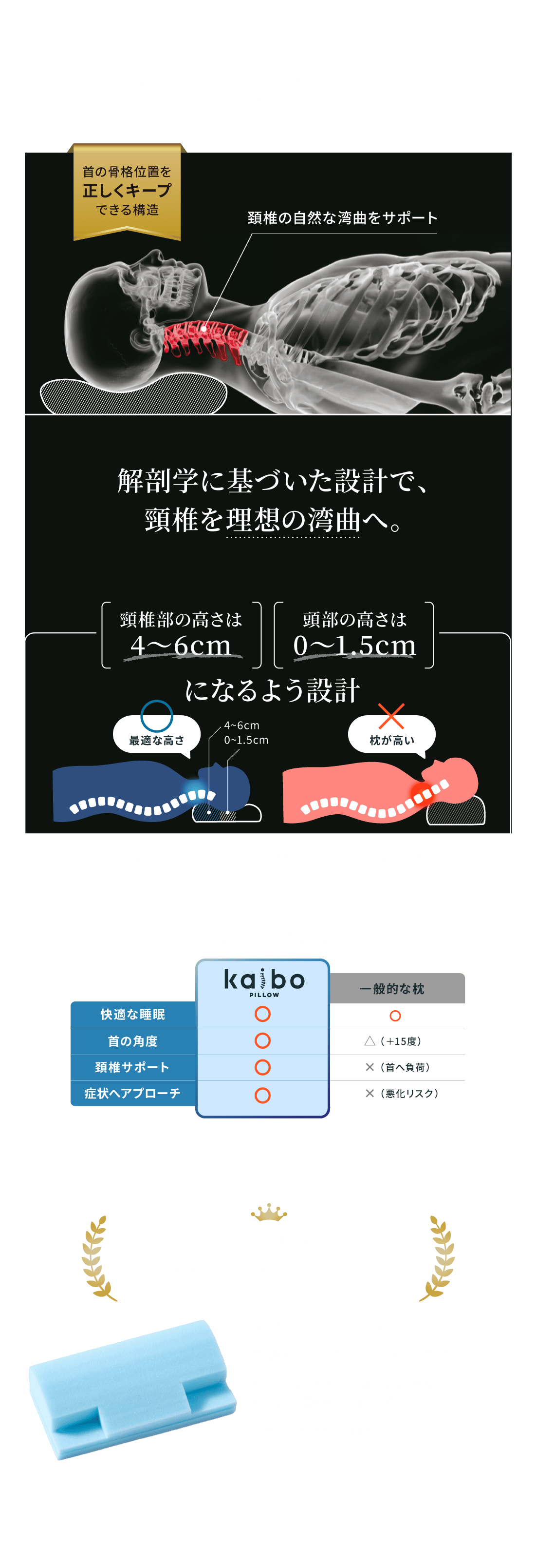 Point01 解剖学に基づいた設計
