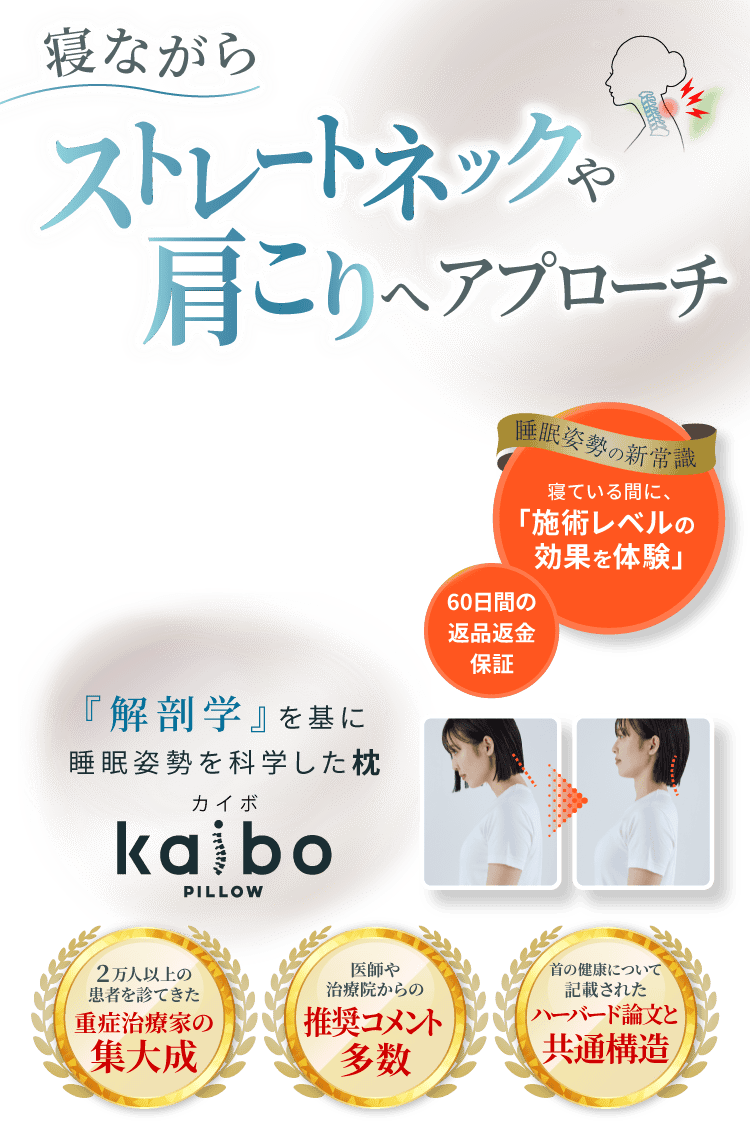 kaibo PILLOW 枕1つで長引く通院生活から解放！？