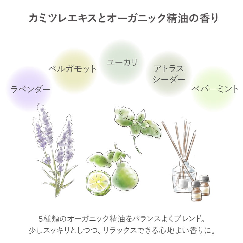 ナチュラルシャンプー詰替え用 （200mL) KAMITSUREN 【定期便】