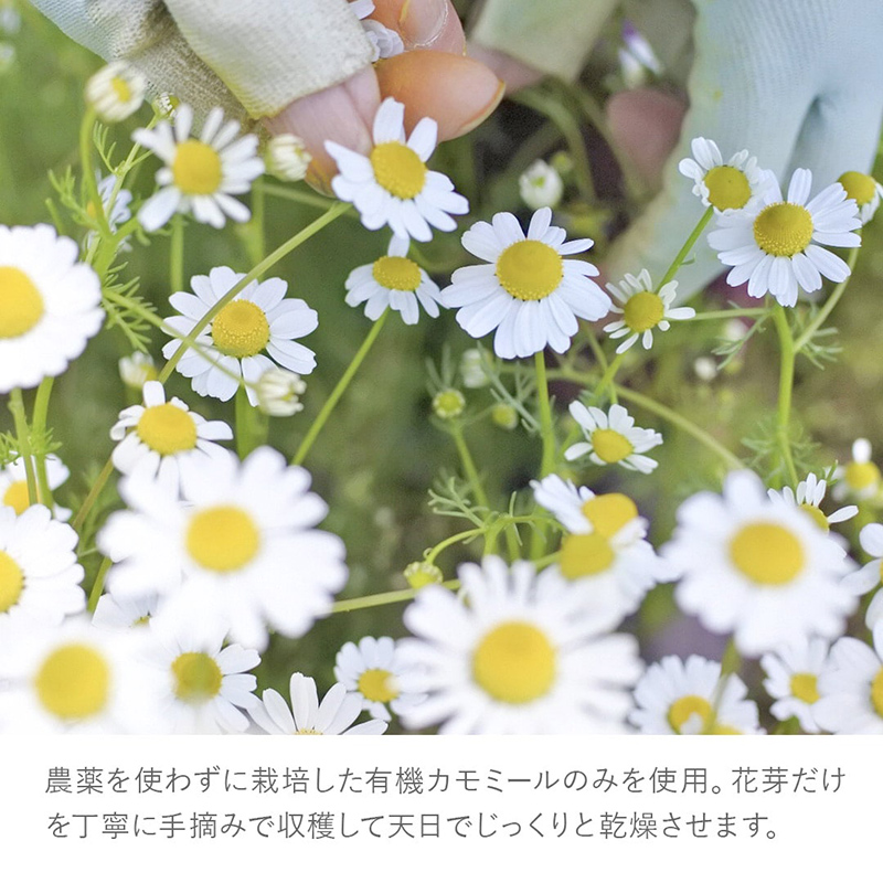 [4/8出荷]有機カモミールハーブティ KAMITSUREN