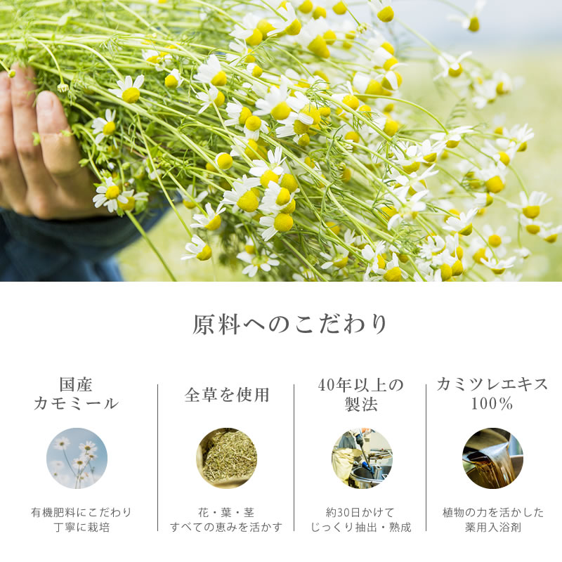 【ギフトボックス】薬用入浴剤400mLカミツレの里限定パッケージ+詰替え用350mL 熨斗: 熨斗なし(包装紙のみ/名入れ不要)