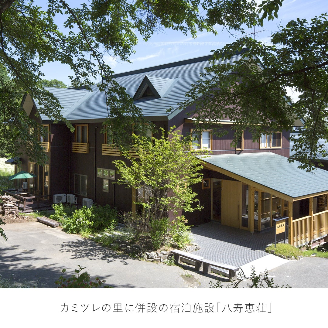 【1泊2日】カミツレの里 八寿恵荘 カモミール定植体験ツアー 大人/子供: 大人