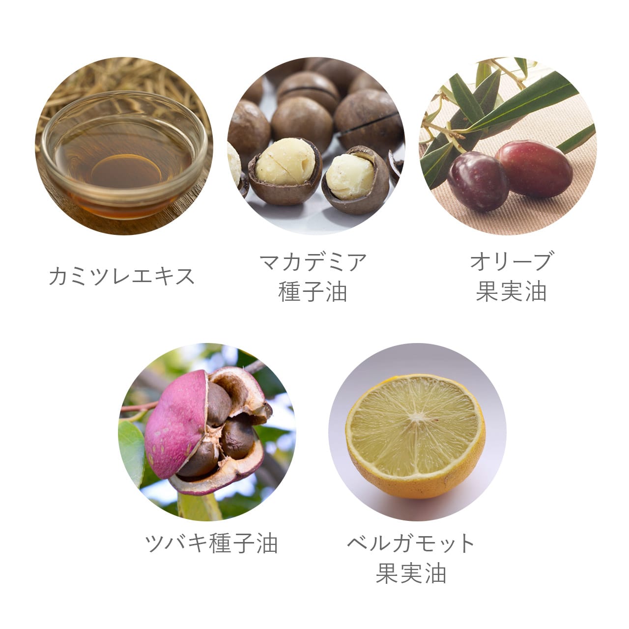 フェイスケア KAMITSUREN 化粧水＆乳液＆クリーム 3点セット