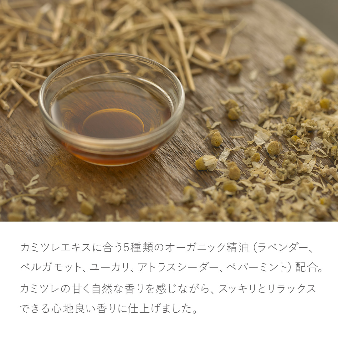 ナチュラルシャンプー詰替え用×2包セット