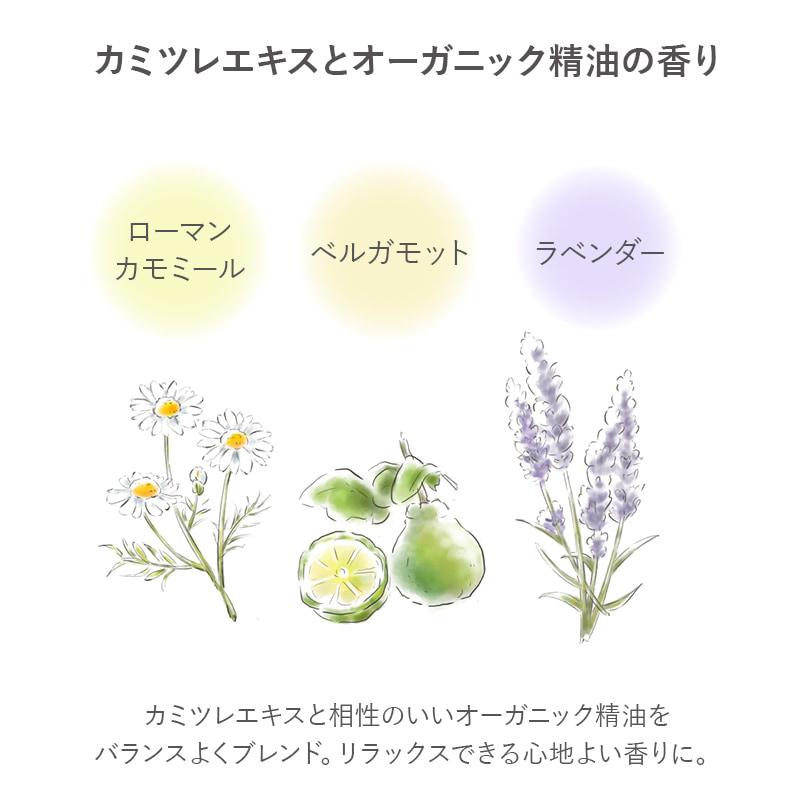 ナチュラルモイストクレンジング（120mL) KAMITSUREN【定期便】CP