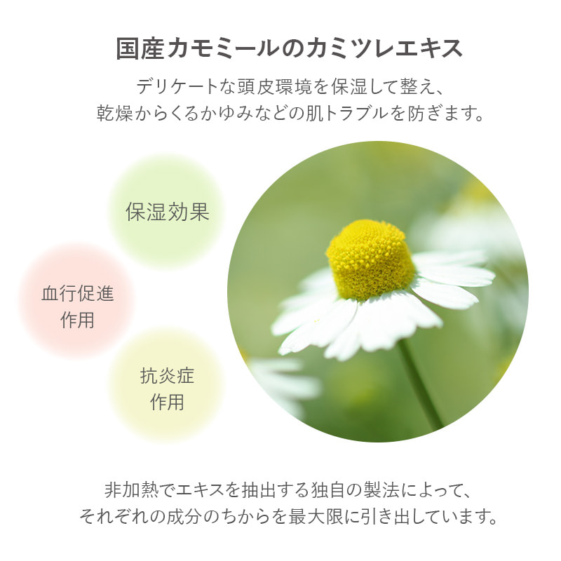 【ギフトセット】薬用入浴剤50mL5包＋ヘッドマッサージローション＋オリジナル巾着