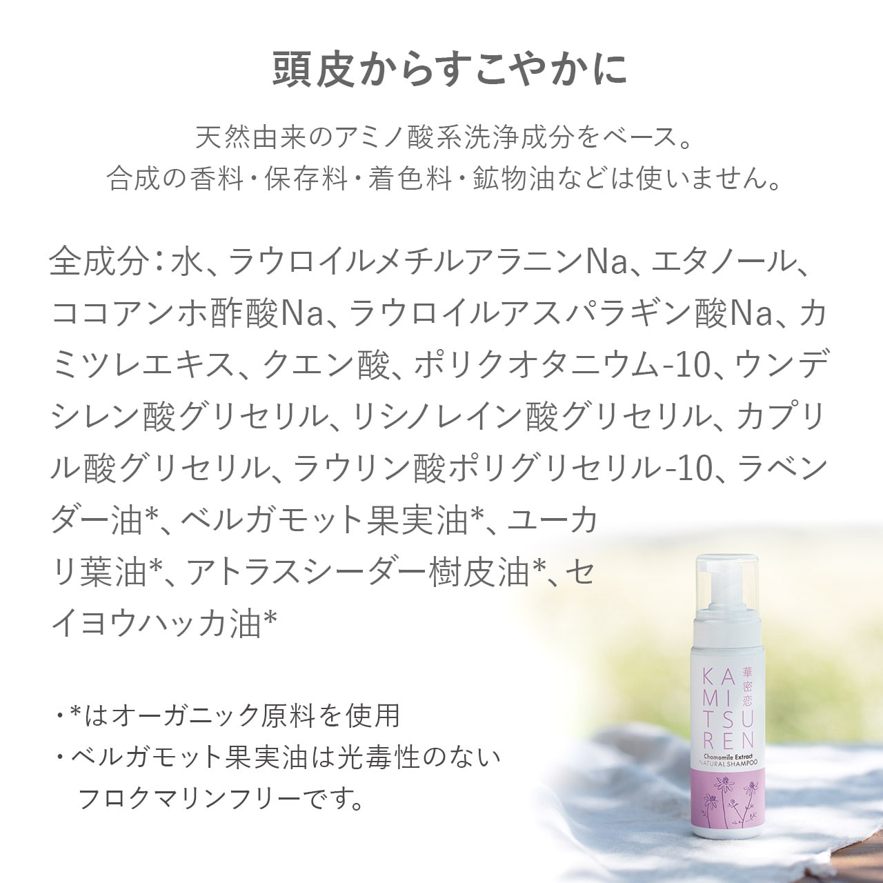 ナチュラルシャンプー詰替え用×2包セット