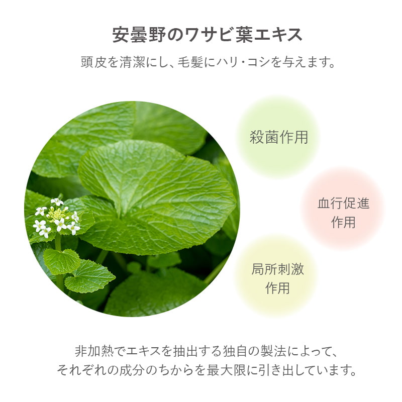 【ギフトセット】薬用入浴剤50mL5包＋ヘッドマッサージローション＋オリジナル巾着
