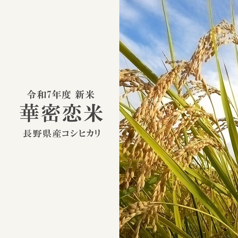華密恋米 (令和7年度コシヒカリ)3kg