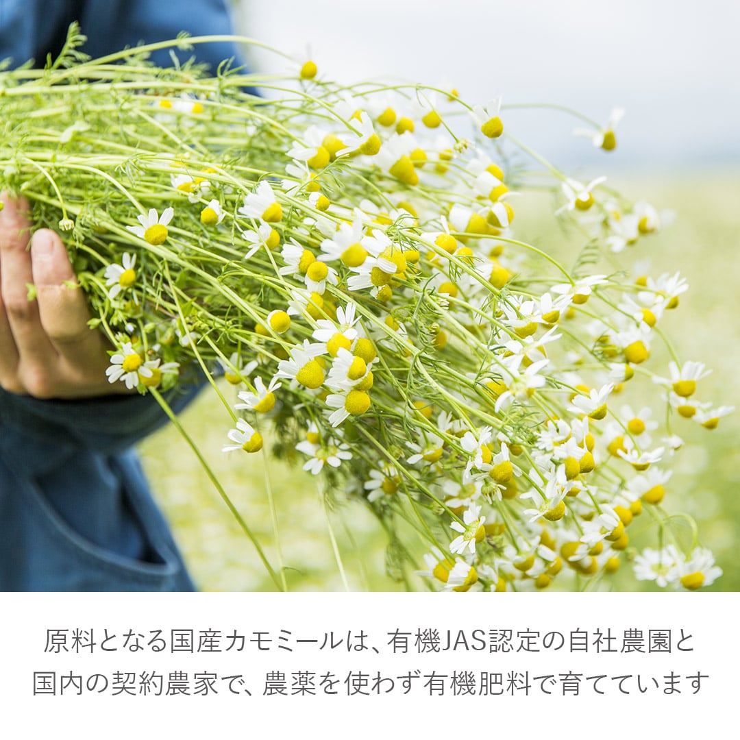 【ギフトセット】薬用入浴剤50mL＋華密恋ドリンク＋八寿恵荘ハンドタオル タオルのカラー: イエロー